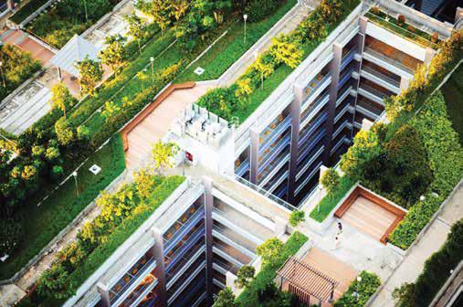 Climate Change Series Moving Towards Greener Skylines