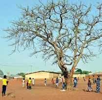 Ivory Coast Losing US Aid as al-Qaeda, Other Extremist Groups Approaching