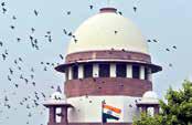 States Show High Per Capita for Development, Say 75% Population BPL for Subsidies: SC