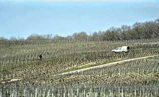 Trump's 200% tariff threat would be 'real disaster' for Europe's wine, spirit industry