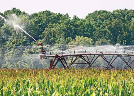 Lifeline for Farms