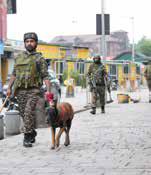 J&K Shaken by Series of Drone Sightings and Explosions