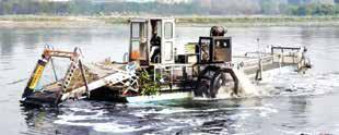 Govt invites pvt sector to financially support Yamuna cleaning efforts