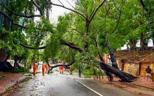 Heavy rains and strong winds damage homes, crops in Kerala