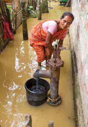 Northeast flood situation remains grim; toll rises to 36, over 5.5L people affected
