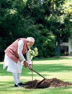 PM Launches Reforestation Effort to Revive Aravalli Mountain Range