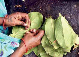 From beedi leaves to blackboard: A mother's toil and a son's triumph