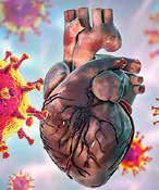 Winter viruses can trigger heart attack or stroke, study reveals