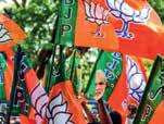 BJP finishes organisational election in about 22 states
