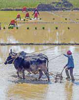 India pushes for duty cuts for labour-intensive sectors