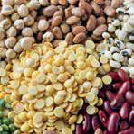 Govt study: Proportion of cereals, pulses in diet dips