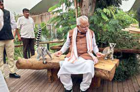 Haryana's 10,000-Acre Jungle Safari Dream Project Will Soon Be a Reality