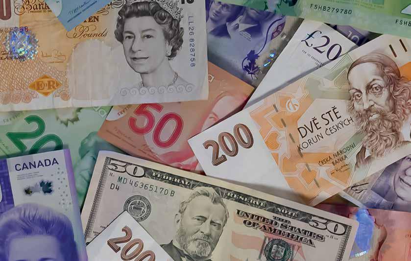 DOLLAR'S Diminishing Grip