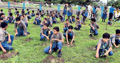 MP: One crore saplings targeted as state turns to greening under 'Urban Forestry' vertical
