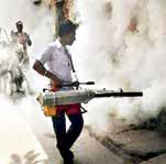 Dengue Cases Lower Than '24 Till Aug; Malaria, Chikungunya Rise