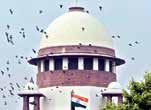 SC Irked Over 21 Adjournments in Bail Matter, Asks HC CJ to Ensure Hearing