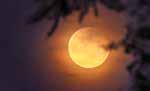 Longest total lunar eclipse since 2022 to be visible across India on Sept 7-8