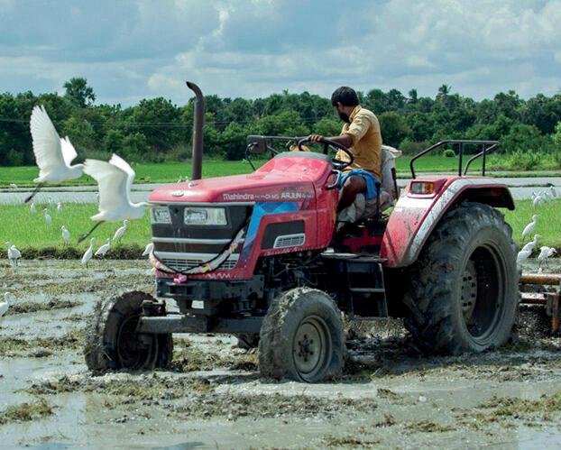 Govt actively exploring alternative export markets to shield farmers from US tariff threats