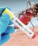 18% of dengue cases in Asia, Americas during 1995-2014 linked to climate change: Study