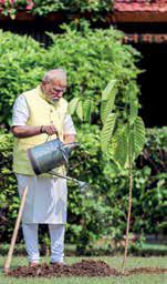 PM Modi plants sapling gifted by British King on his 75th birthday