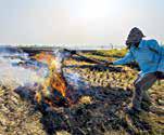 Punjab stubble fires raise Delhi SMOG ALARM