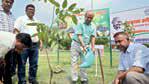 'Swachhta Abhiyan 5.0': MCF GM leads tree plantation