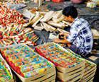 SC to hear issues related to manufacturing, sale of green crackers on October 10