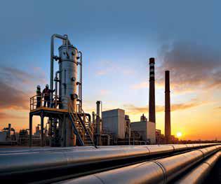 IN SEARCH OF A CARBON CURE