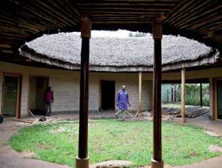 Shroom with a view: Kenyan firm opens door to sustainable living with fungi