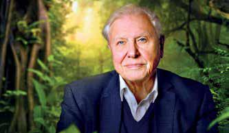 Sir David Attenborough breaks record as oldest Daytime Emmy winner