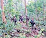 Efforts to neutralise terrorists hiding in Jammu forests on: IGP