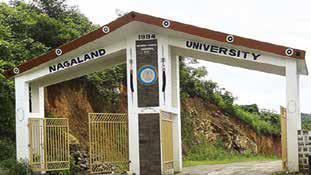 Nagaland University researchers find breakthrough for diabetic wounds