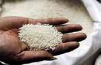 India's rice exports to rise over 10% in FY26 in volume terms: APEDA