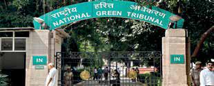 NGT directs MoEFCC to review environmental clearance granted for Gurugram housing proj