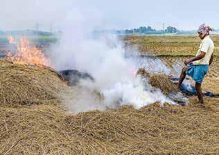 SC seeks action on stubble burning as Centre issues nationwide health advisory on pollution-linked illnesses