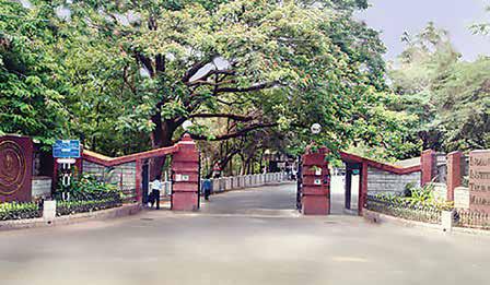 IIT MADRAS LAUNCHES ‘LANGUAGE & COGNITION LAB’ TO STUDY INDIA'S LINGUISTIC DIVERSITY