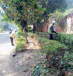 NDMC intensifies cleanliness efforts with daily multi-department drives