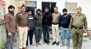 Six held for feeding chicken momos to cows in Gurugram