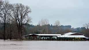 Washington state faces historic floods that have washed away homes, stranded families