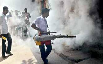 Capital records four dengue deaths in '25 as vector-borne cases decline