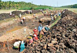 Path to Resilient Livelihoods