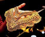 Gem and jewellery exports decline by 5.79% to $2,238.54 million in January, says GJEPC