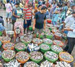 India's seafood exports: From growth to global competitiveness