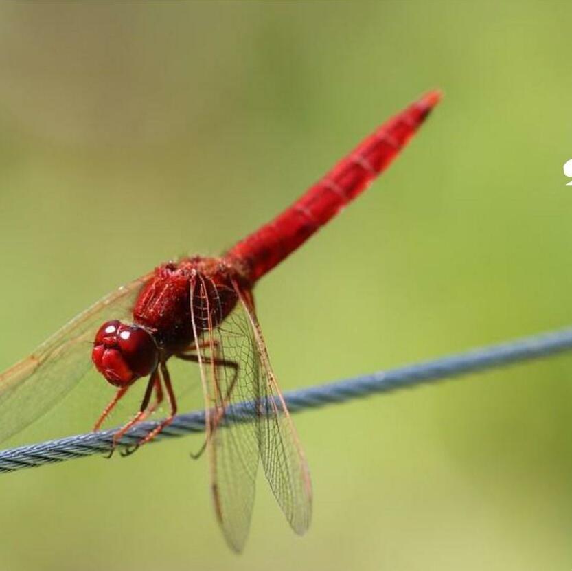 Navigating a tightrope