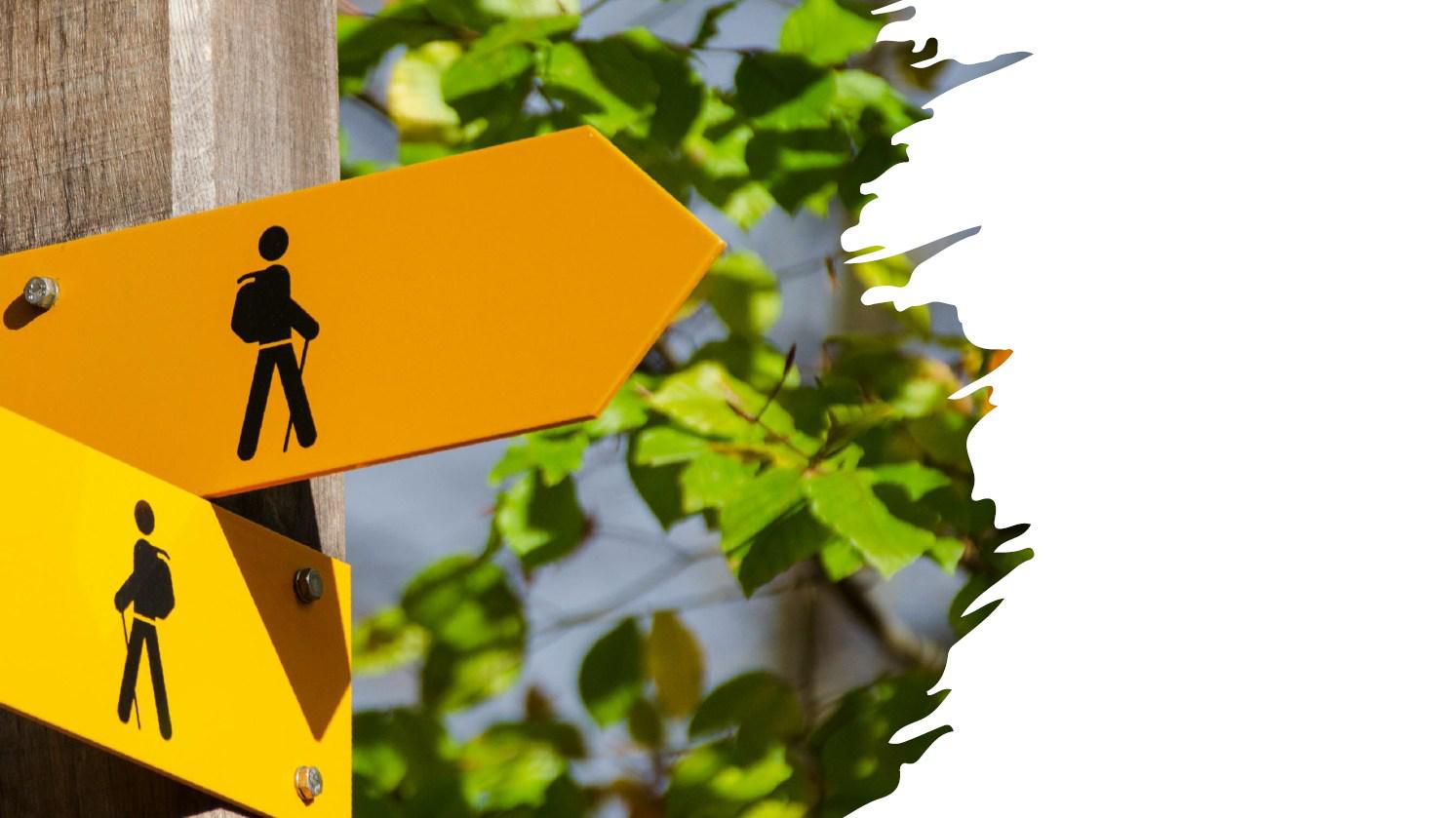 Rethinking investing in an age of uncertainty