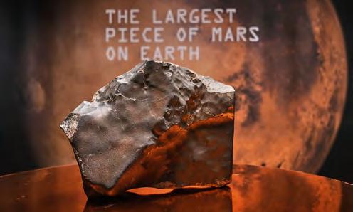 Biggest piece of Mars on Earth going up for auction