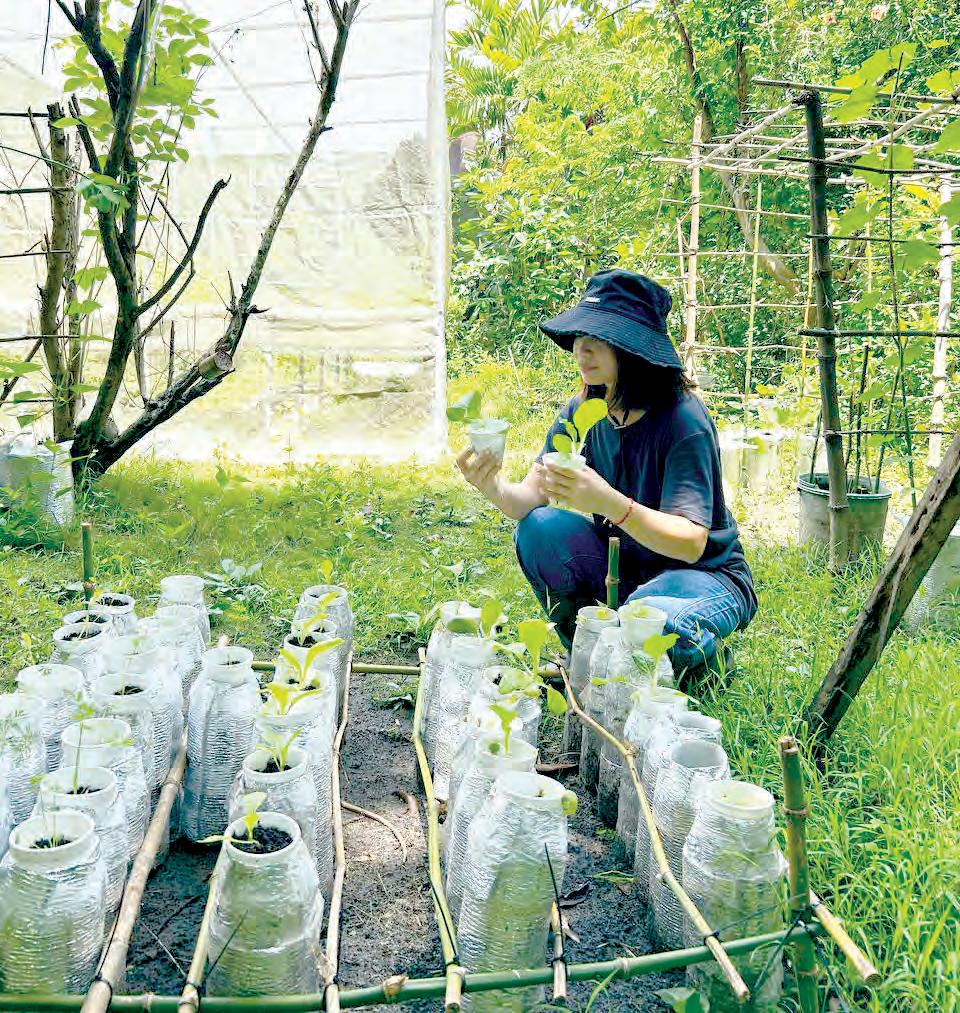 A former casino worker's journey to a greener future