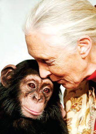 Goodall's influence spread far and wide: Those who felt it are pledging to continue her work