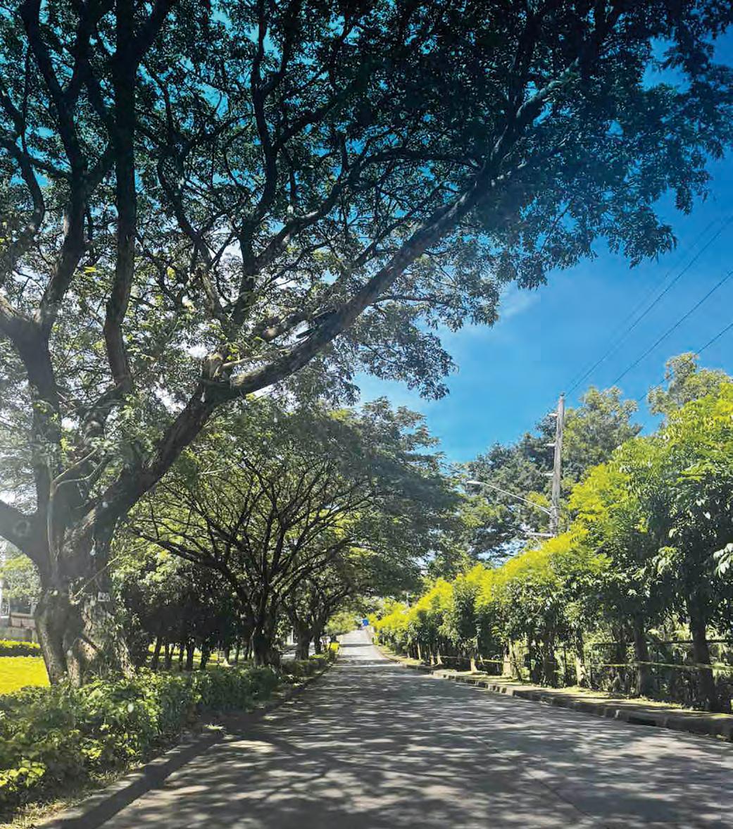 SM breathes new life into a southern classic: The rebirth of Susana Heights Village