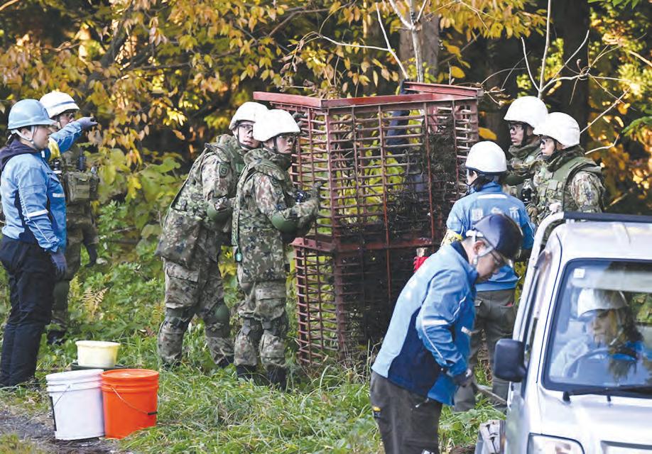 Japan deploys the military to counter a surge in bear attacks
